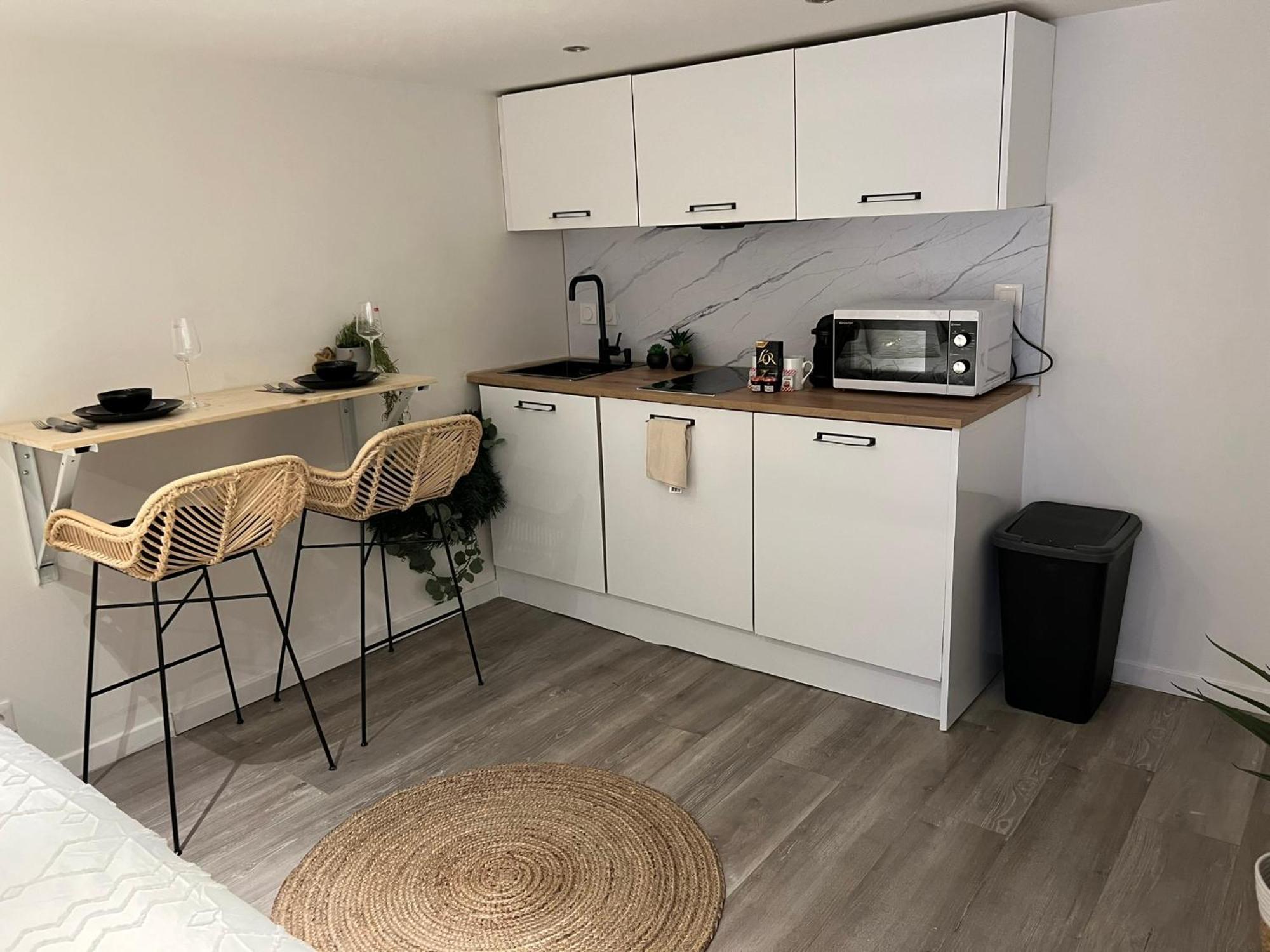 Le Zenith Vieille Ville D'Annecy Exterior foto